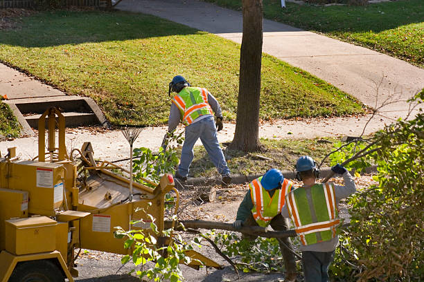 Best Utility Line Clearance  in Caddo, OK