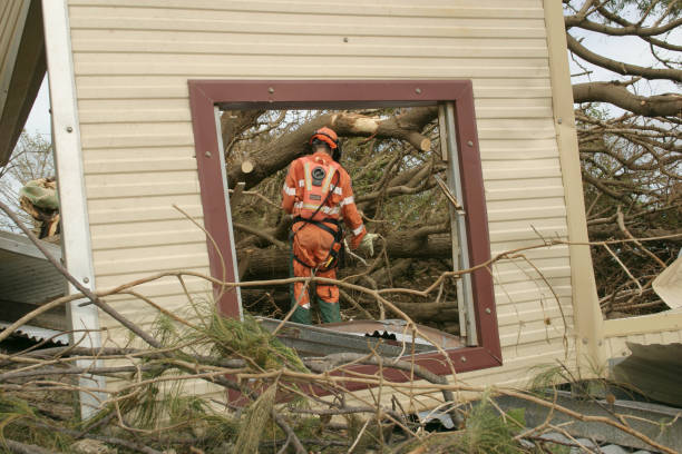 Best Tree Mulching  in Caddo, OK